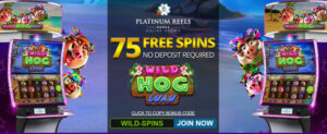 Wild Hog Luau Slot (75 Free Spins) Wild Hog Luau