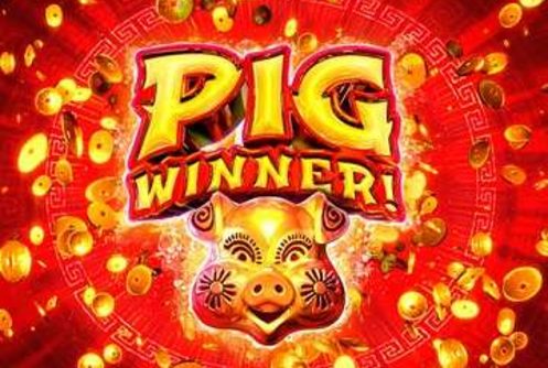 Pig Winner Slot (RTG) 