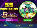 Aladdin 5 Wishes (55 Free Spins)