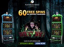 Platinum Reels Casino no deposit bonus (60 Free Spins)