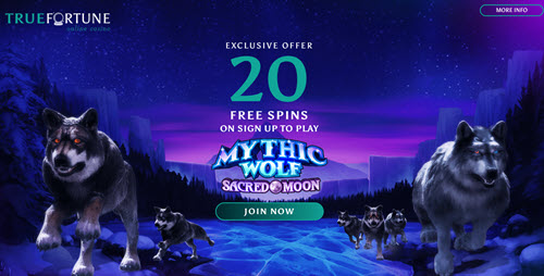 True Fortune Casino No Deposit Bonus