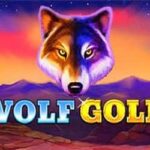 Wolf gold slot