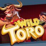 wild toro slot