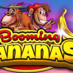 7bit casino