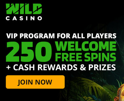 Wild Casino