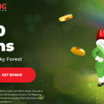 paddys lucky forest slot