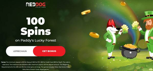 paddys lucky forest slot