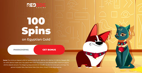 red dog casino free spins no deposit