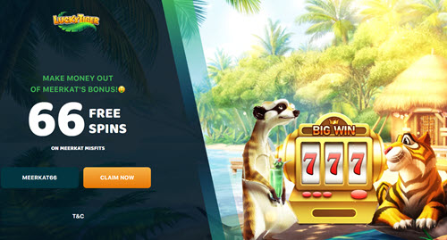 lucky tiger no deposit bonus codes free spins