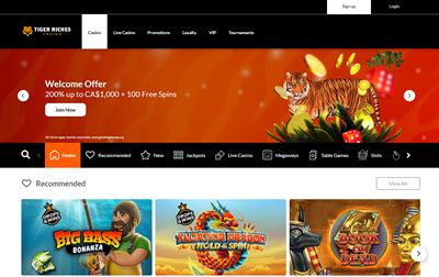 Tiger Riches Casino