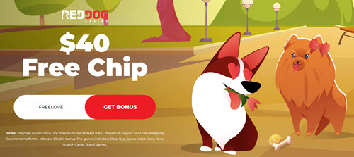 Dog Casino No Deposit - Free Chips!