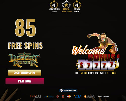 Slots Win Casino No Deposit Bonus 85 Free Spins