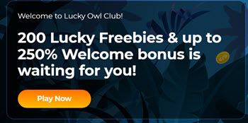Lucky Owl Club Casino