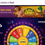 Reel Fortune Casino - 100 Free Spins!