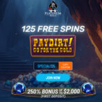 Paydirt! Go For Gold - 125 Free Spins!