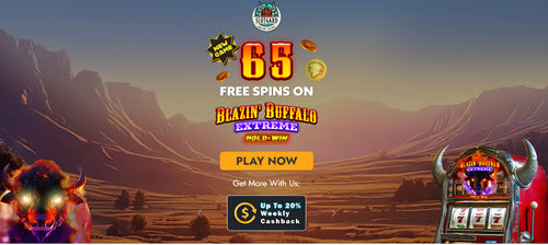 Slotgard Casino No Deposit Bonus – 65 Free Spins! Slotgard Casino No Deposit Bonus – 65 Free Spins!